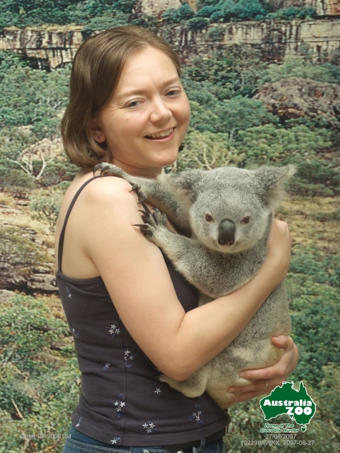 Anna_koala picture