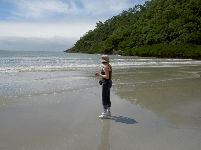 Coconut beach picture