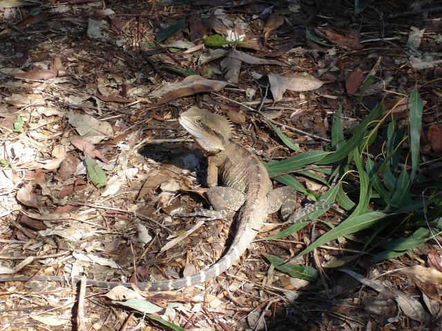 Not sure what picture !