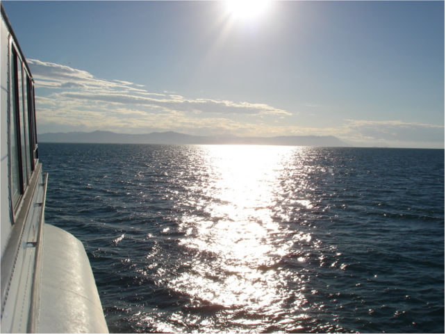 View from the boat picture